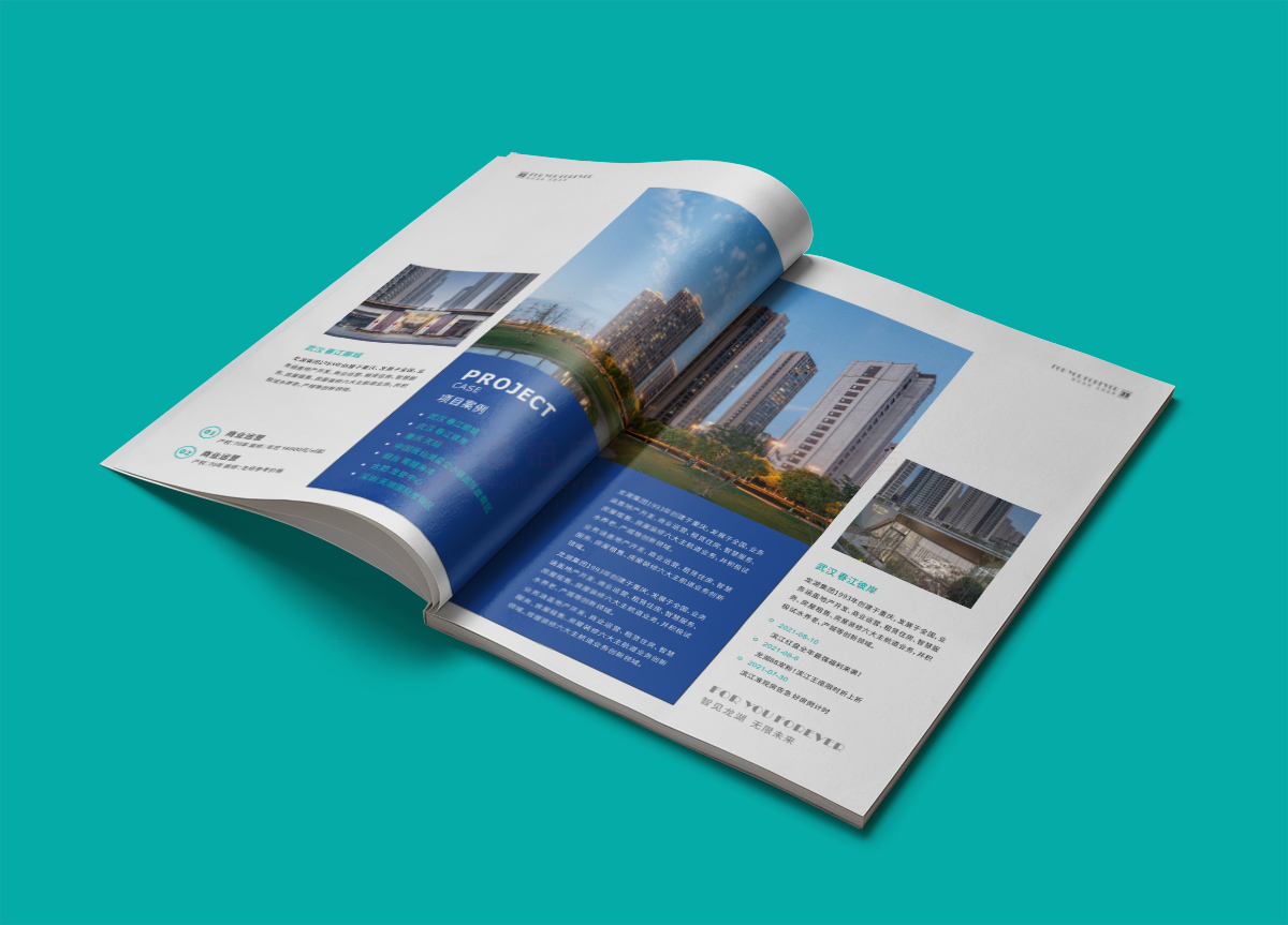 品牌地產樓書設計,品牌地產樓書設計公司 品牌地產樓書設計,品牌地產樓書設計公司