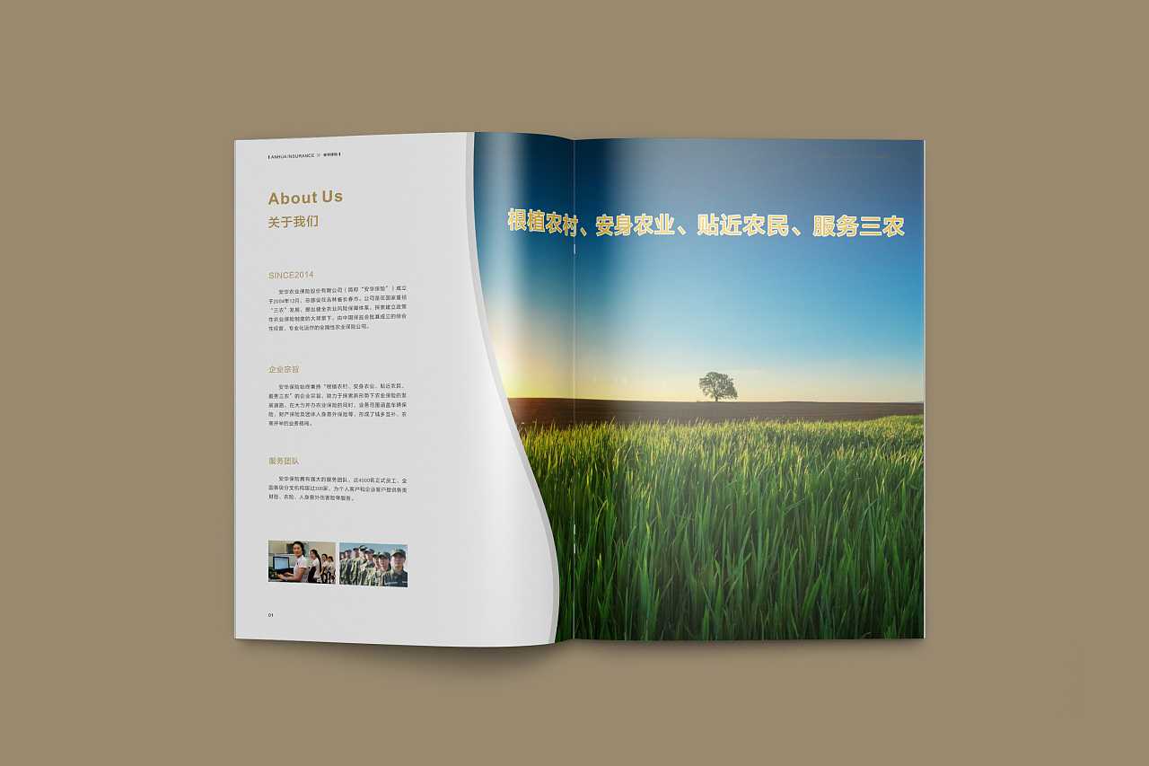 成都企業(yè)為什么要選擇高端宣傳冊設計公司呢？